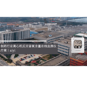 化工制藥煤粉倉(cāng)反應(yīng)釜氧含量在線(xiàn)監(jiān)測(cè)儀